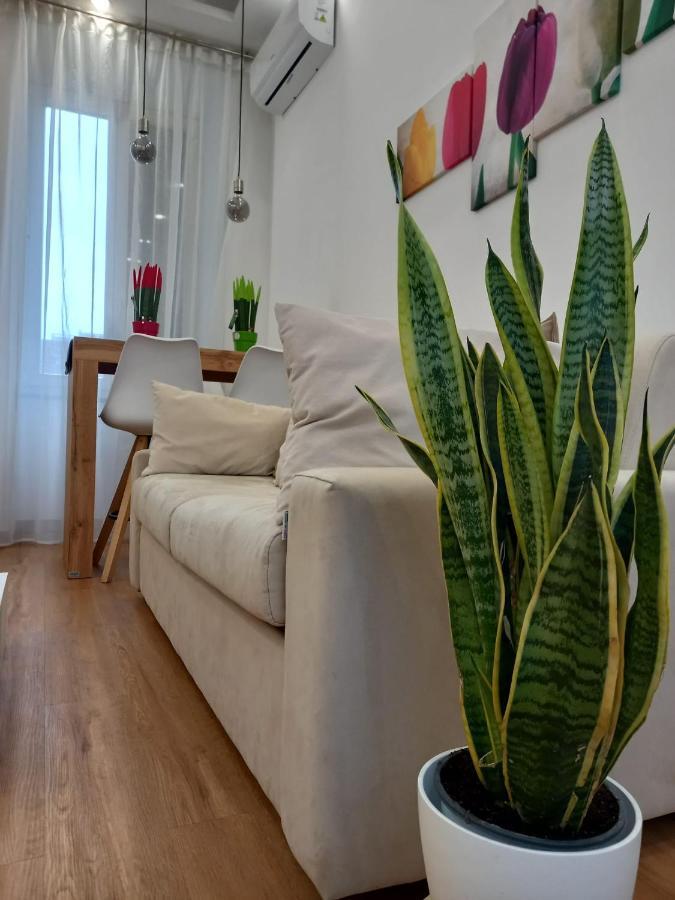 Apartamento Natural Mente